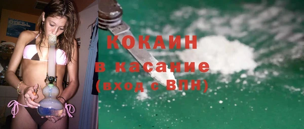 шишки Верхний Тагил