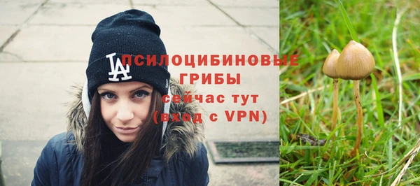шишки Верхний Тагил