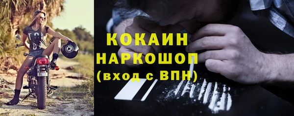 шишки Верхний Тагил